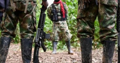 diseidencias de las FARC cauca 2020