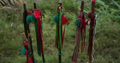 Baston Guardia Indigena Cauca